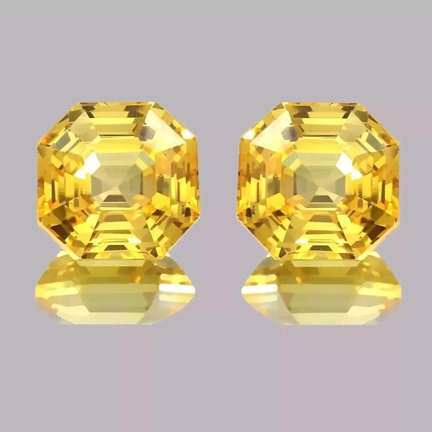 Cut 20.00 Ct Pair Gemstone for Jewellery outsider gourmet abundant surgeon Making AAA Flawless Ceylon 20 Ct Yellow Sapphire Asscher 