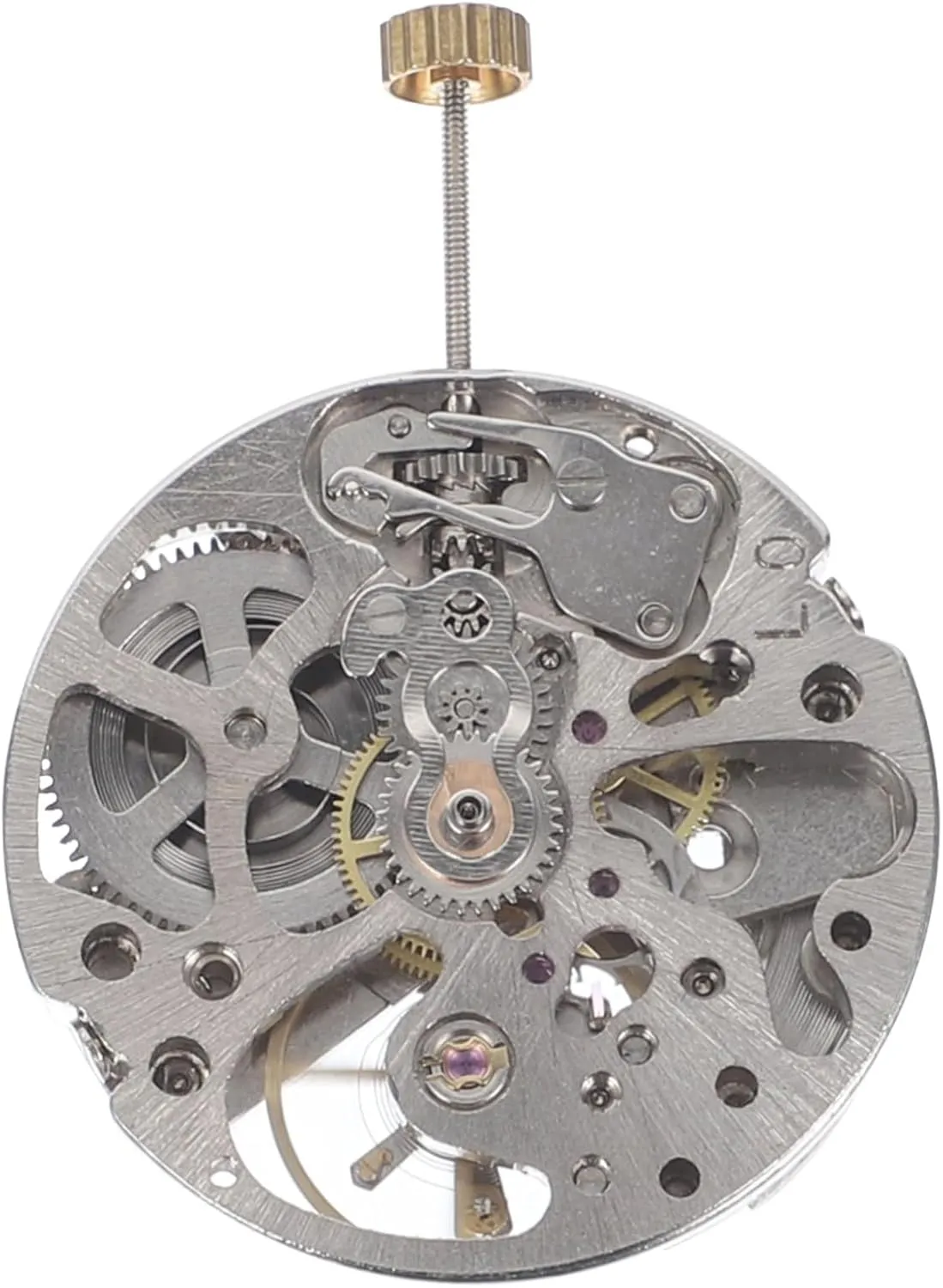 Replacing Old Parts Watch Performance and Longevity IMIKEYA 1pc Wristwatch Movement barrel faunal library wholesale Tool Skeleton Movement for Easy Installation and Repair for 